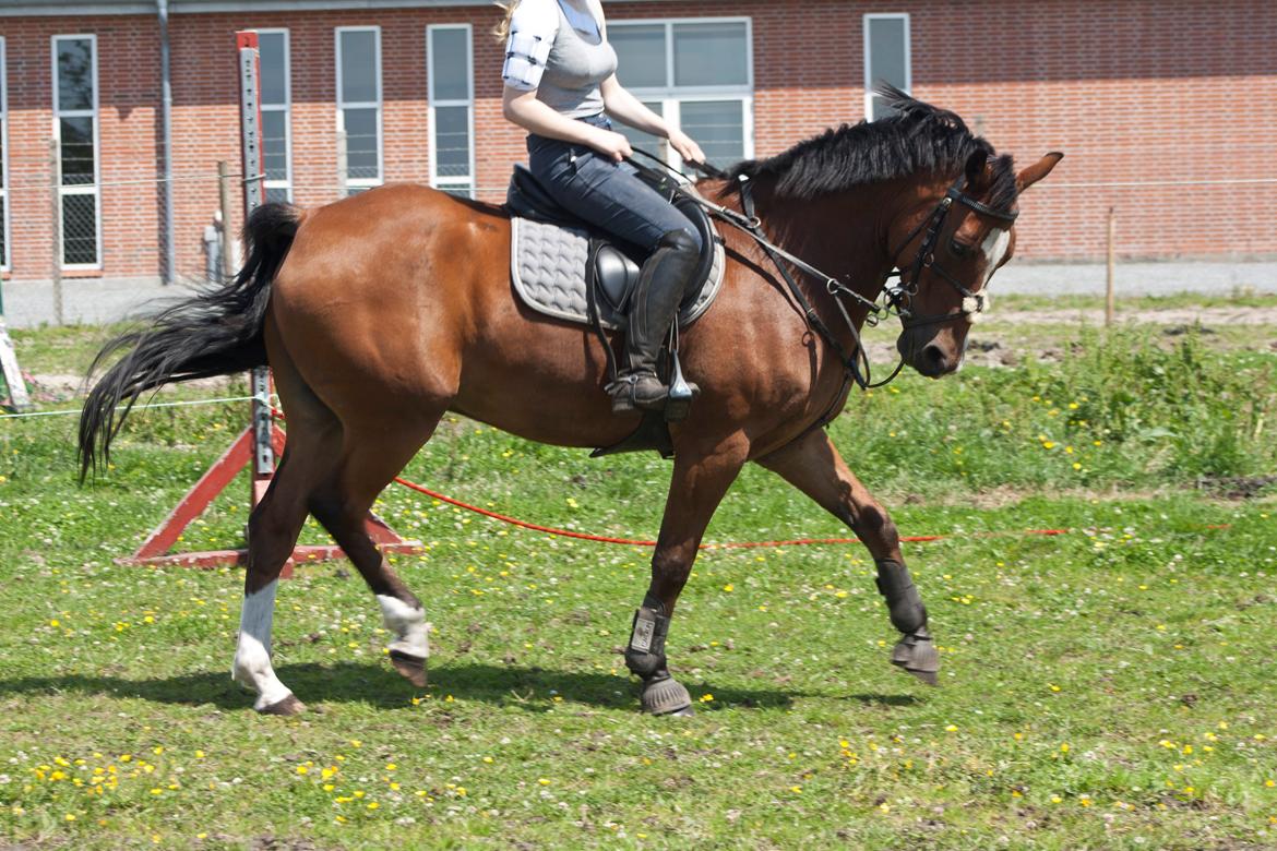 Billeder til min veninde  billede 215