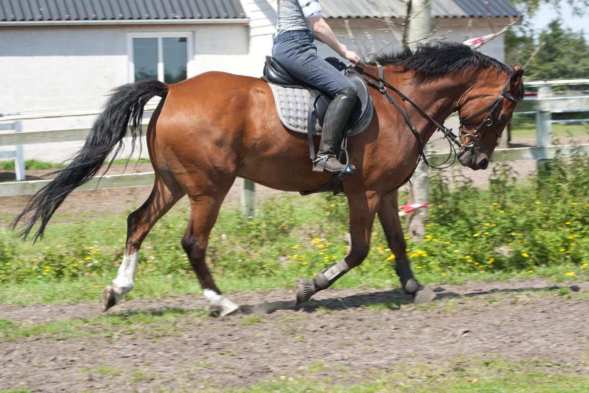 Billeder til min veninde  billede 216