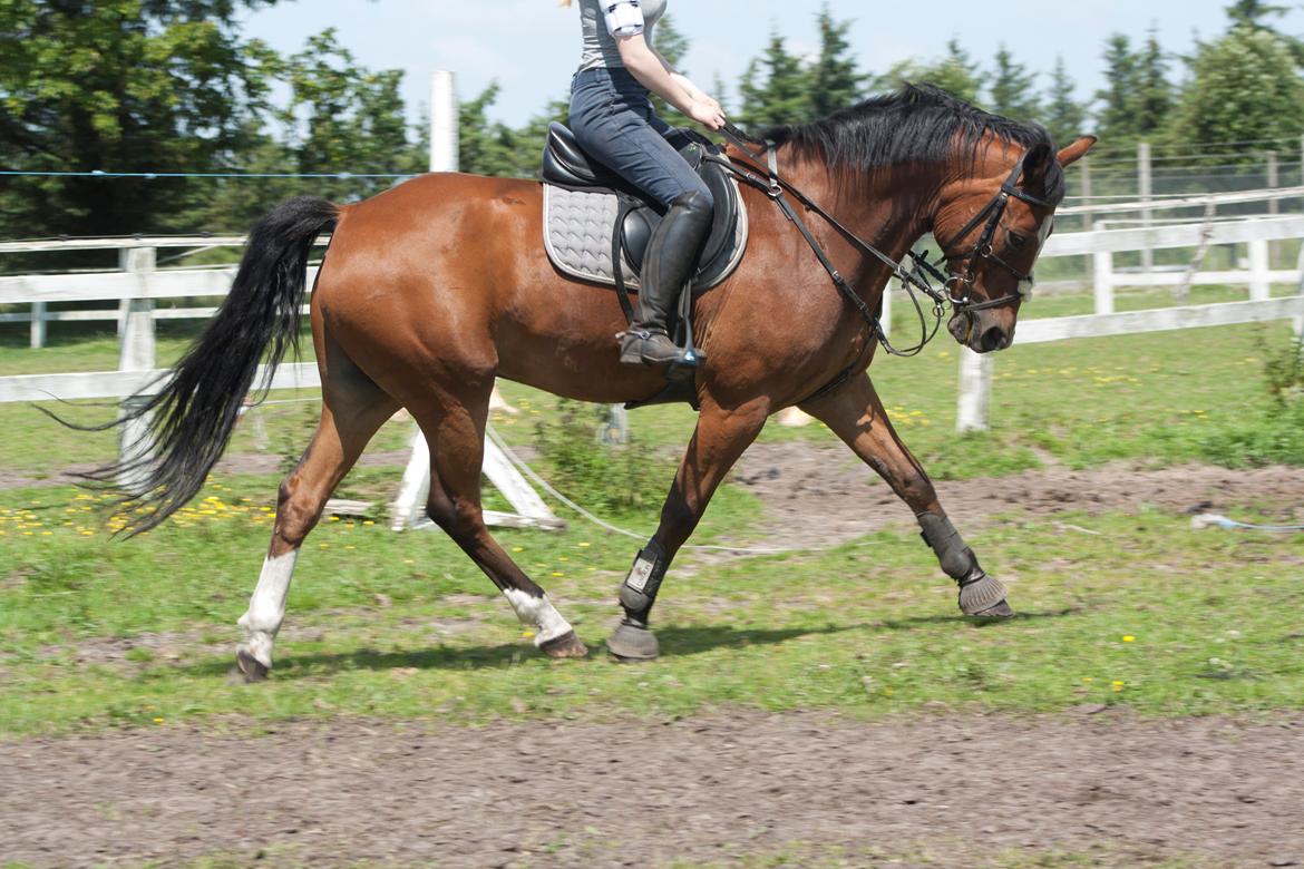 Billeder til min veninde  billede 217