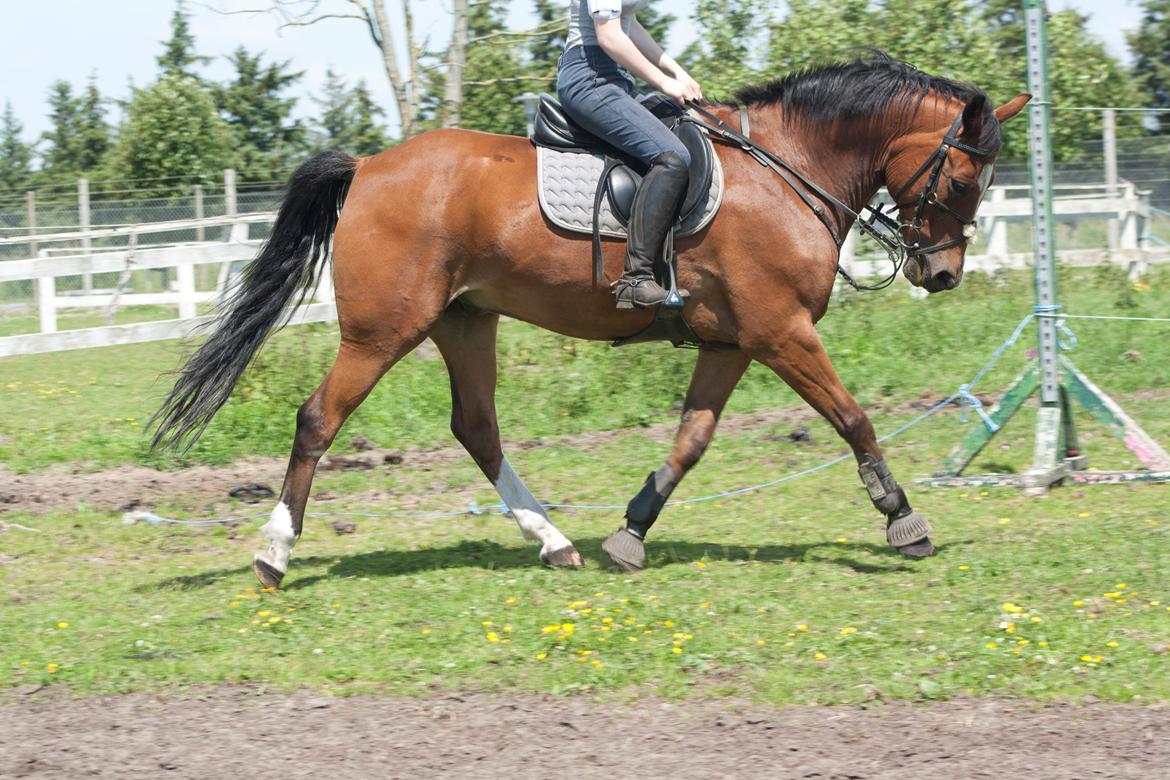 Billeder til min veninde  billede 218