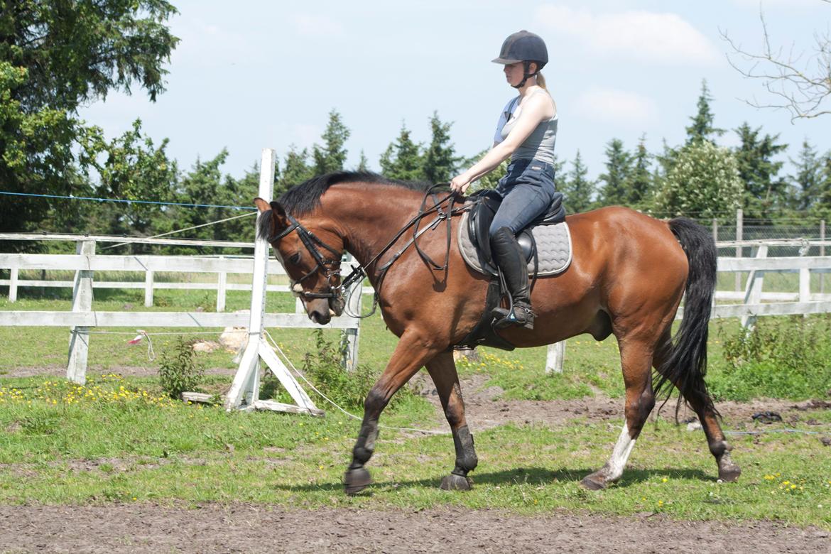 Billeder til min veninde  billede 225