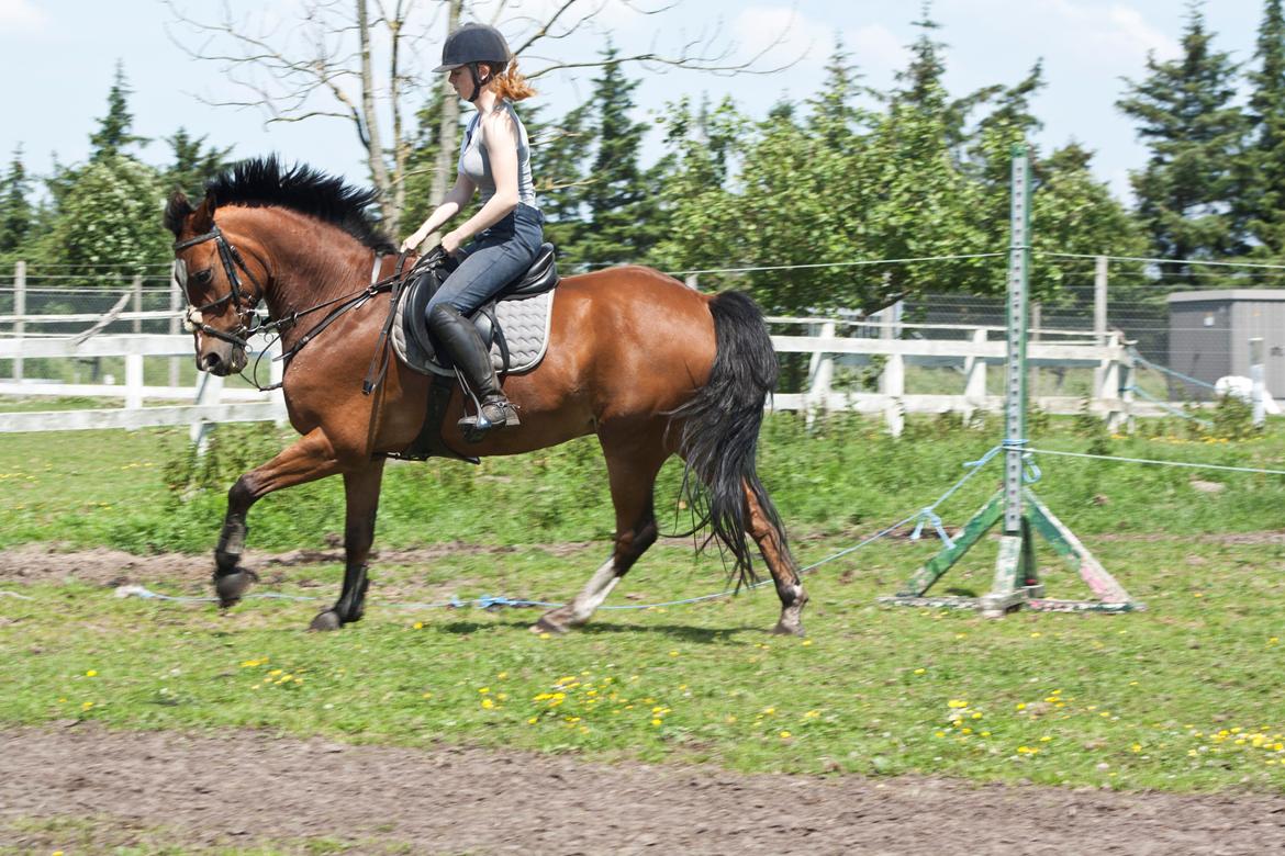 Billeder til min veninde  billede 228