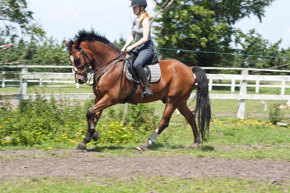 Billeder til min veninde  billede 229