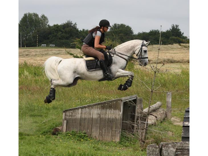 {{currentPhoto.altText}} billede {{currentPhoto.number}}