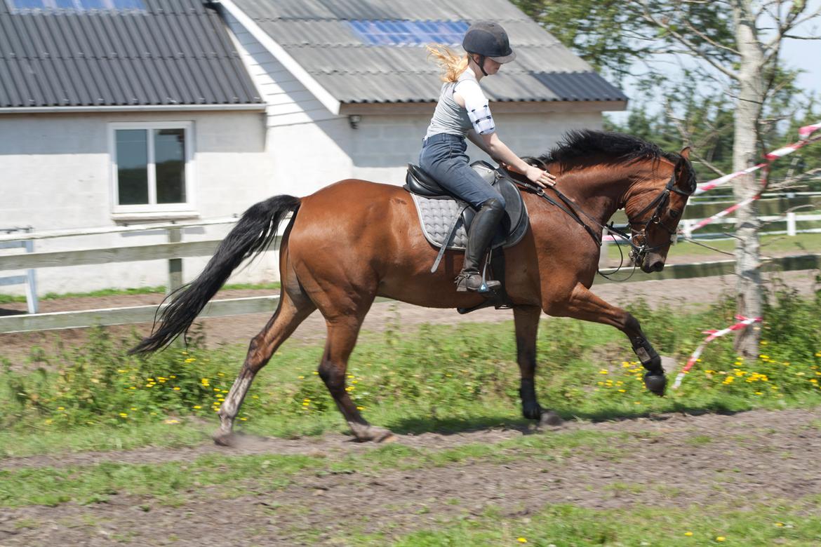 Billeder til min veninde  billede 234