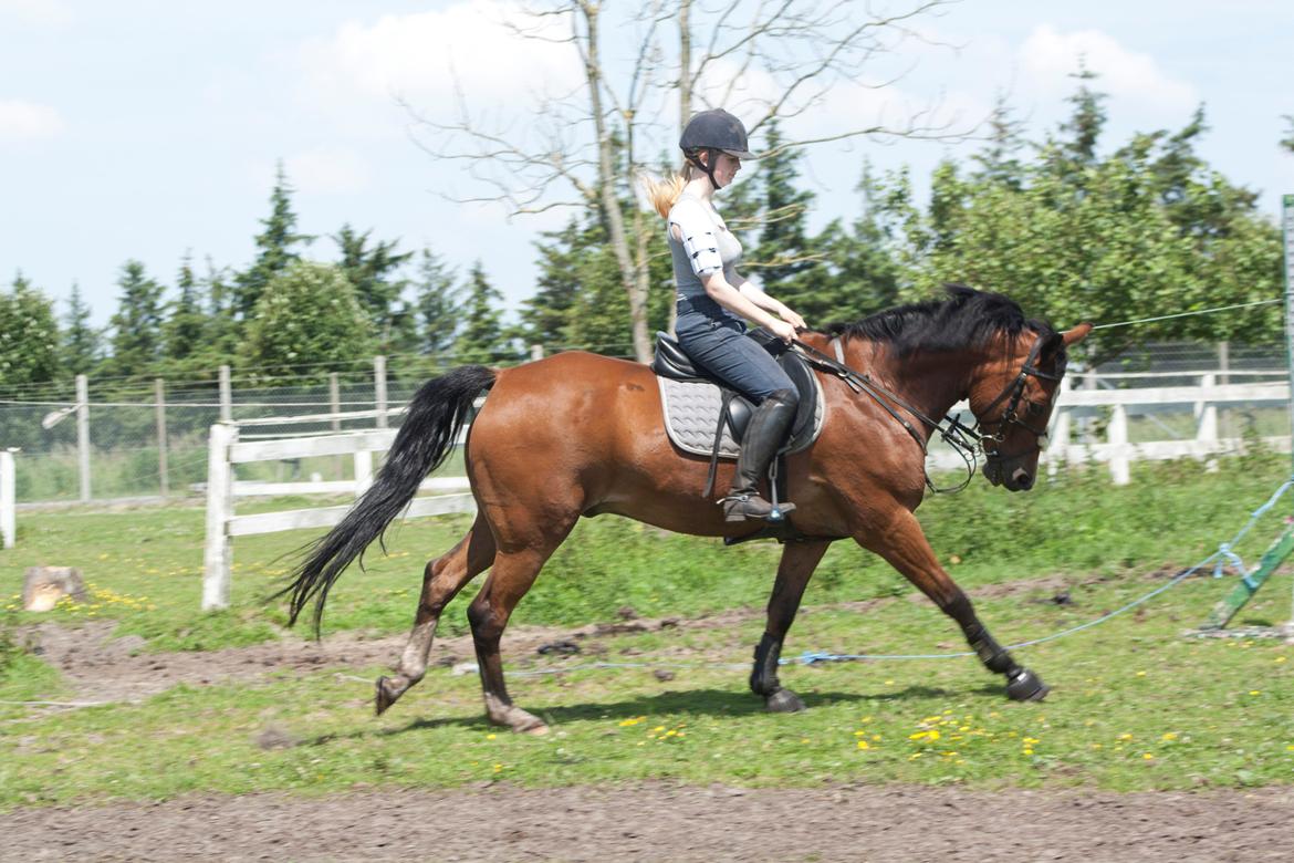 Billeder til min veninde  billede 235