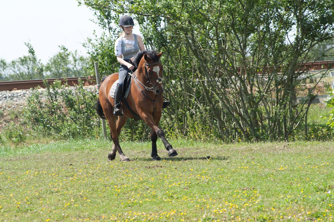 Billeder til min veninde  billede 239