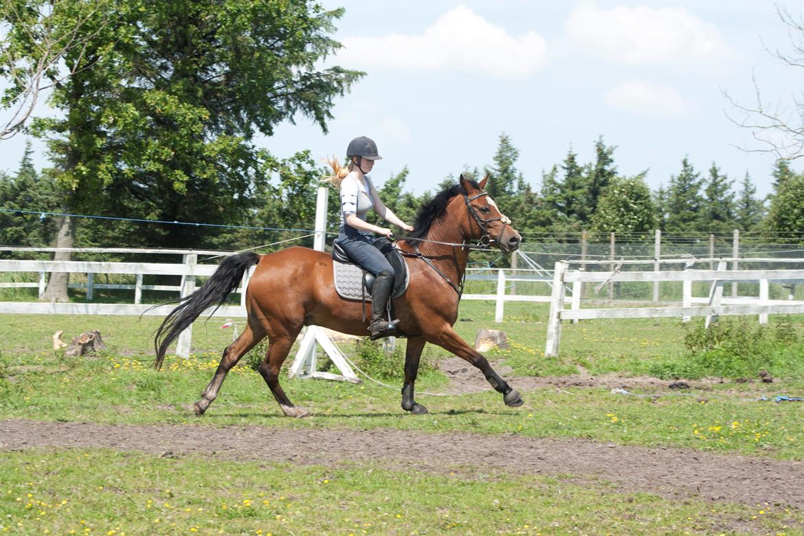 Billeder til min veninde  billede 242