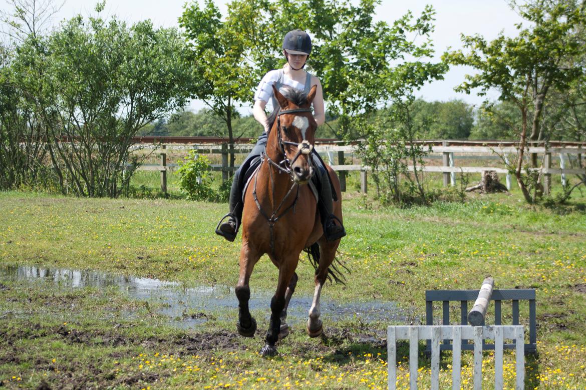 Billeder til min veninde  billede 243