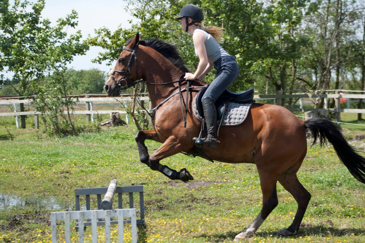 Billeder til min veninde  billede 244