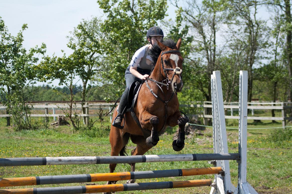 Billeder til min veninde  billede 245