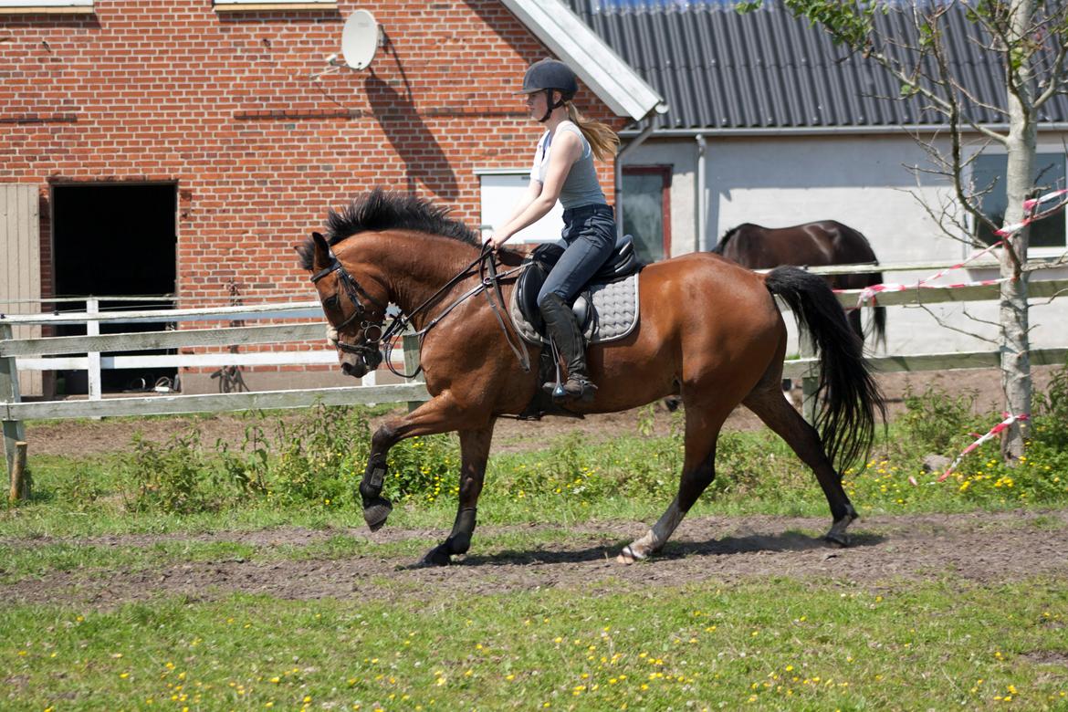 Billeder til min veninde  billede 246