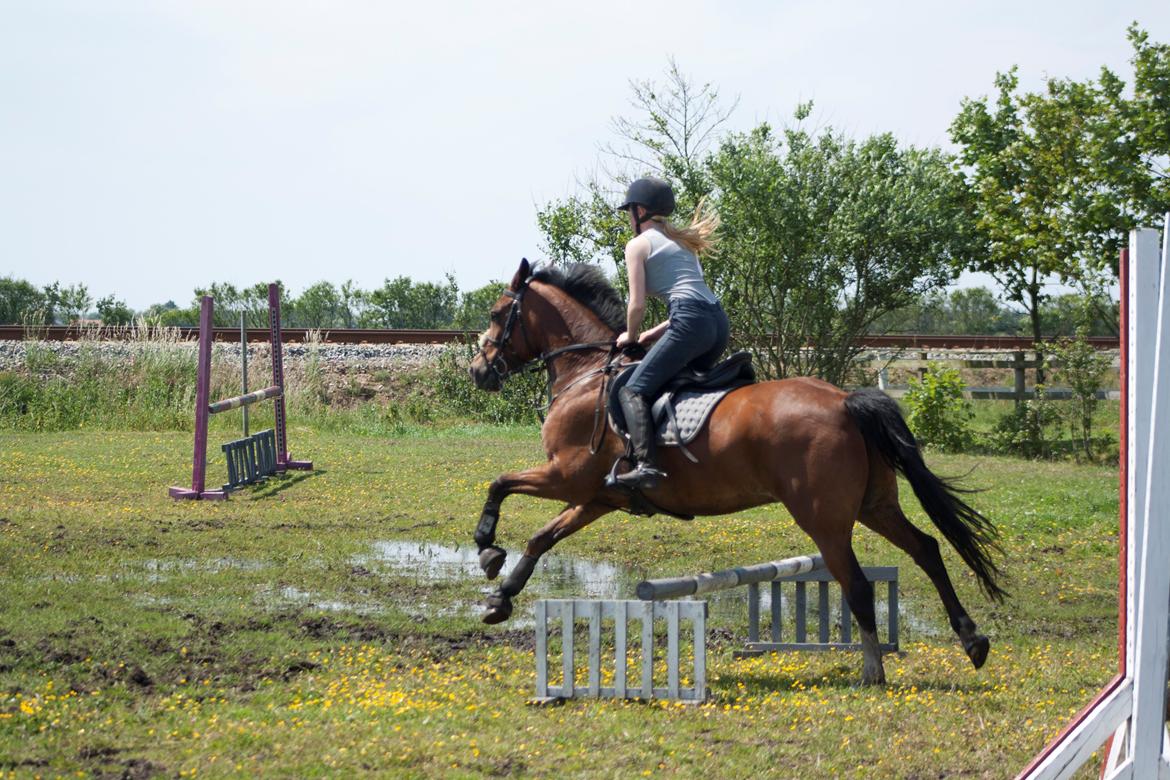 Billeder til min veninde  billede 247