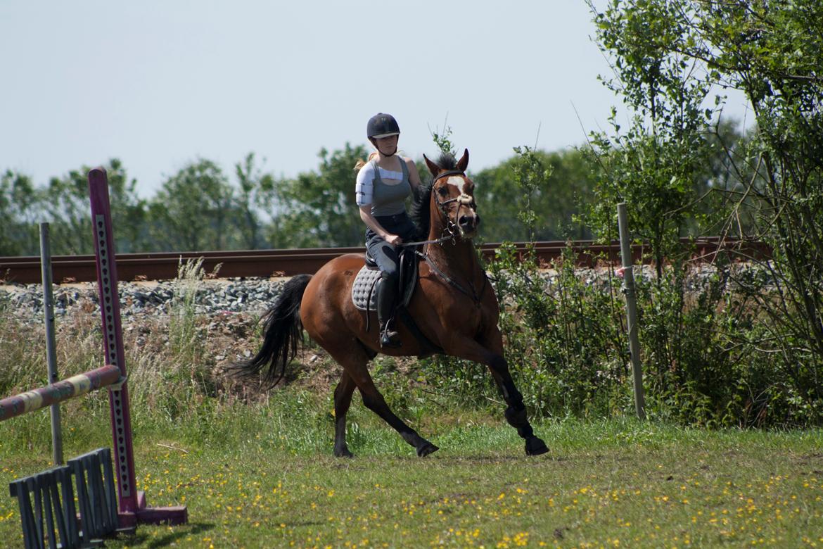 Billeder til min veninde  billede 248