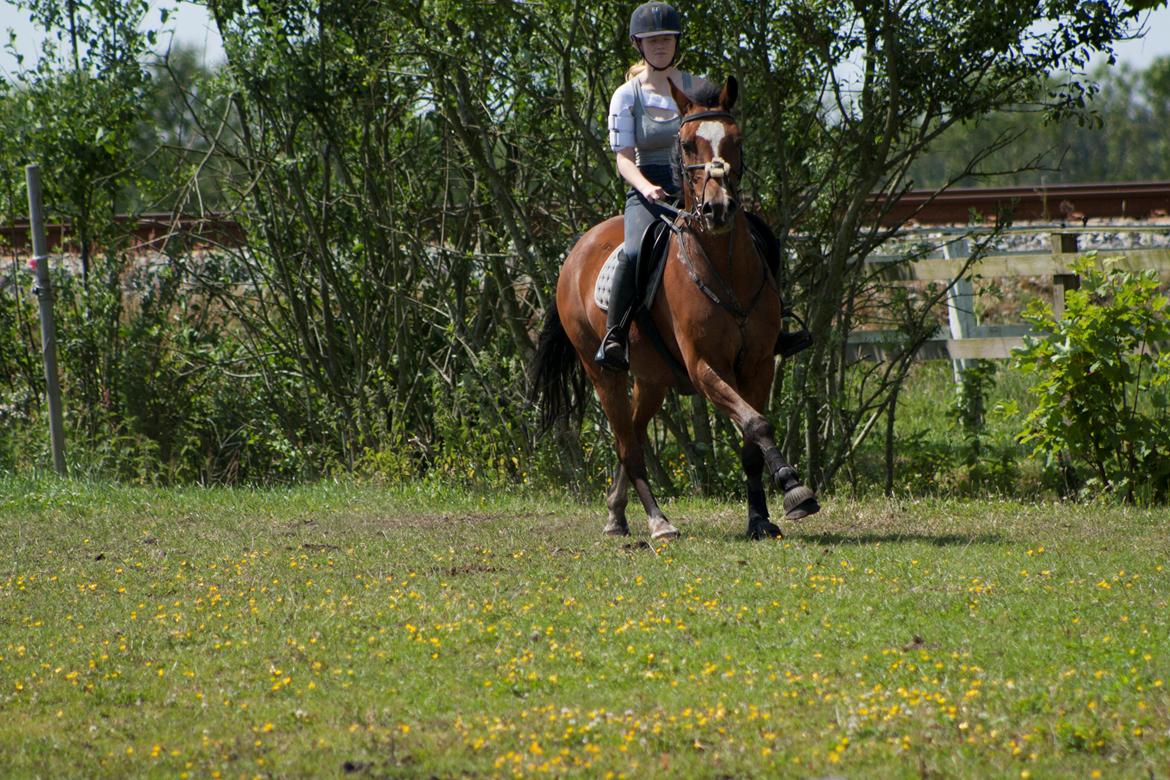 Billeder til min veninde  billede 249