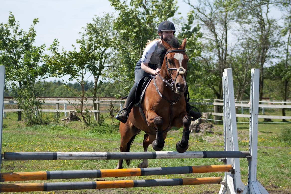 Billeder til min veninde  billede 250