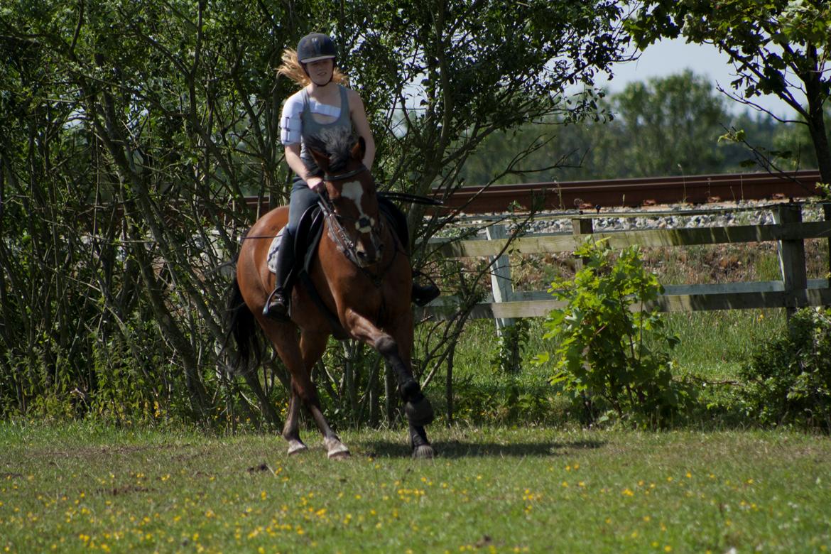 Billeder til min veninde  billede 251