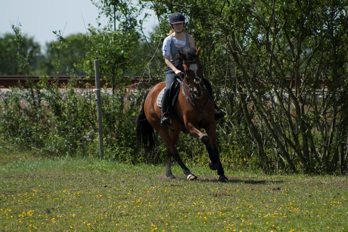 Billeder til min veninde  billede 252