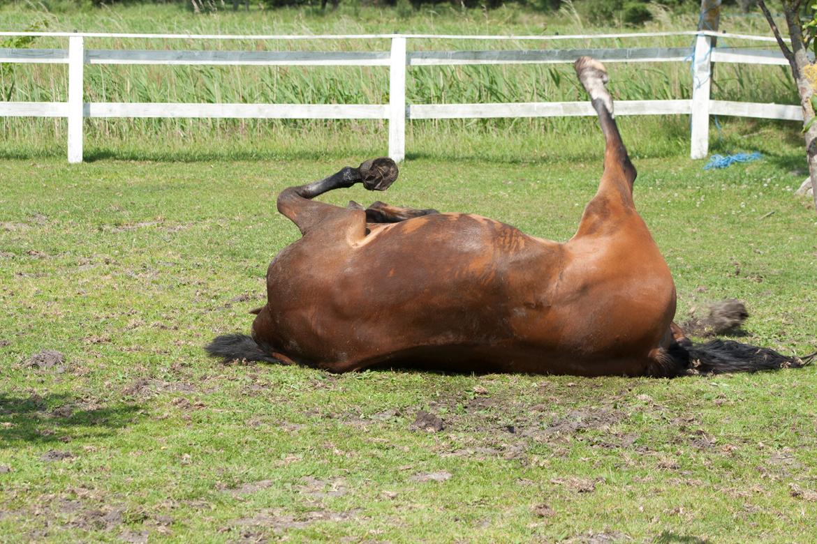 Billeder til min veninde  billede 253