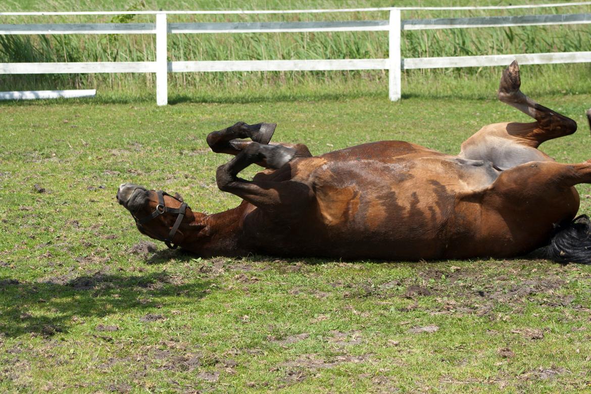Billeder til min veninde  billede 254