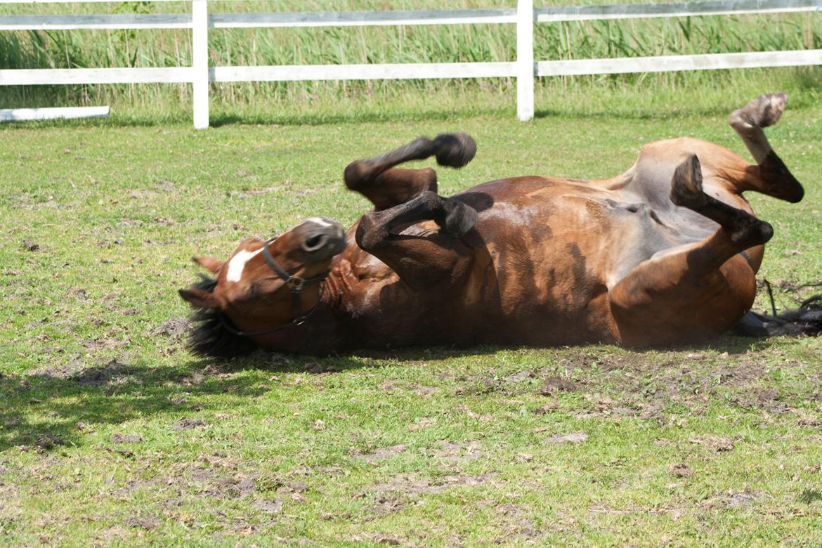 Billeder til min veninde  billede 255