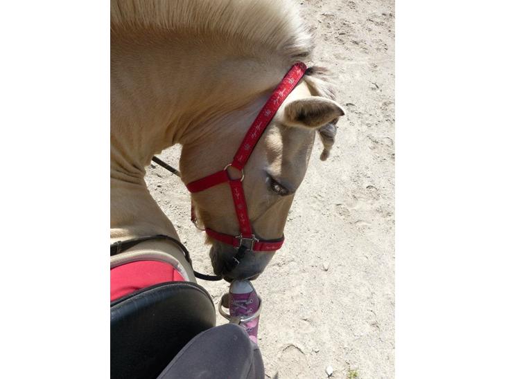 {{currentPhoto.altText}} billede {{currentPhoto.number}}