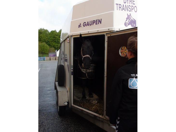 {{currentPhoto.altText}} billede {{currentPhoto.number}}