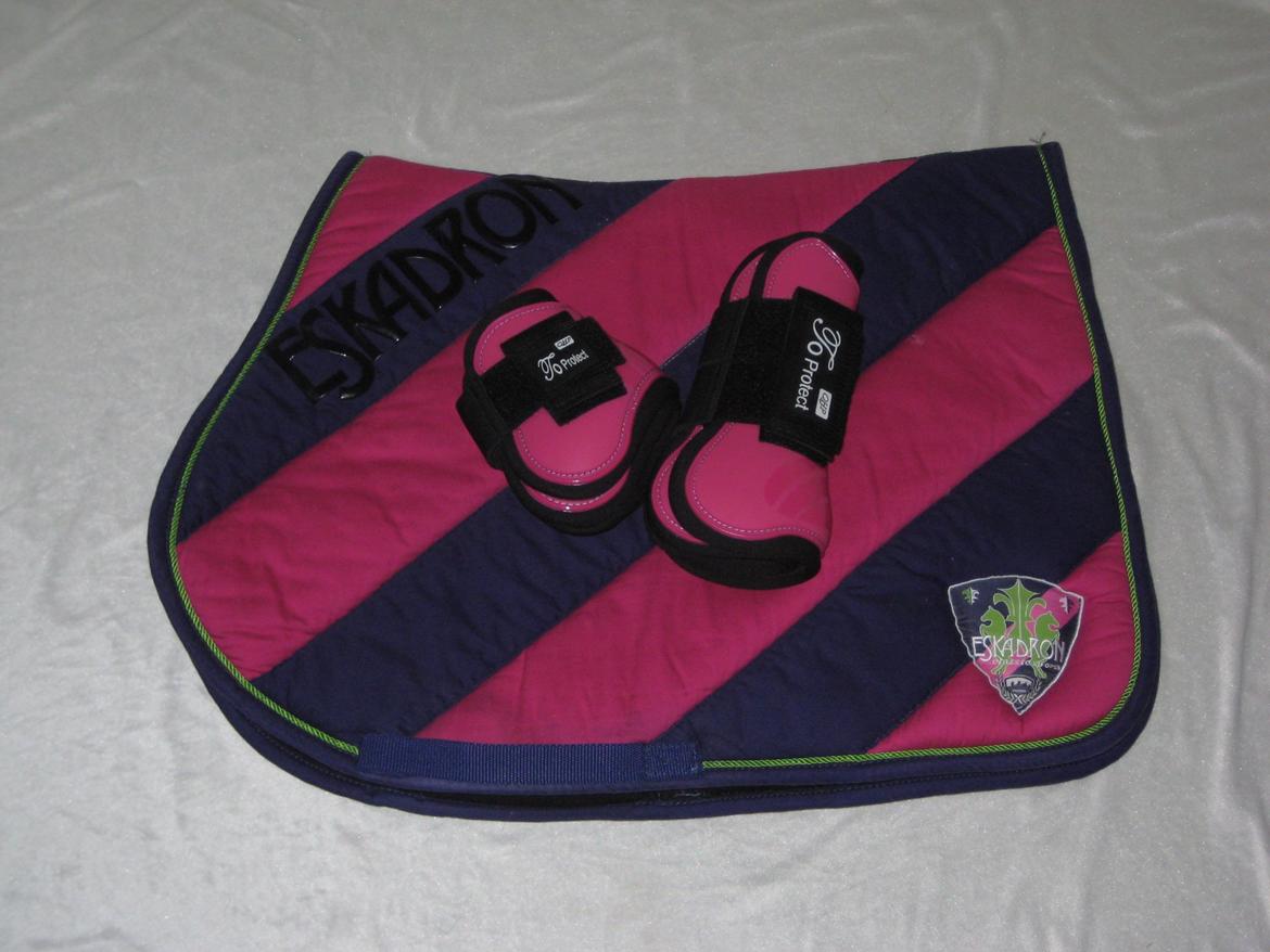 Mit Udstyr - Eskadron Polo Pad Bicolor spring. Plum og Fuchsia. Med QHP Pro Springgamacher billede 6