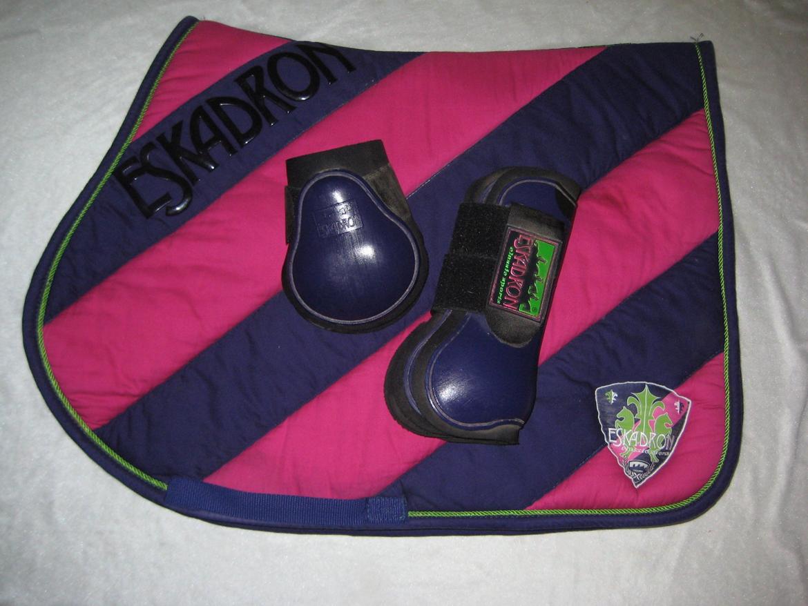 Mit Udstyr - Eskadron Polo Pad Bicolor spring. Plum og Fuchsia. Med Eskadron Flexisof springgamacher i plum. Fra kollektion sommer 2010 billede 7