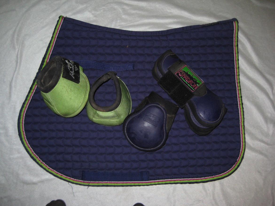 Mit Udstyr - Eskadron Cotten spring underlag 17" i Plum med eskadron springgamacher i plum. med limegrønne PC klokker. Fra kollektion sommer 2010 billede 9