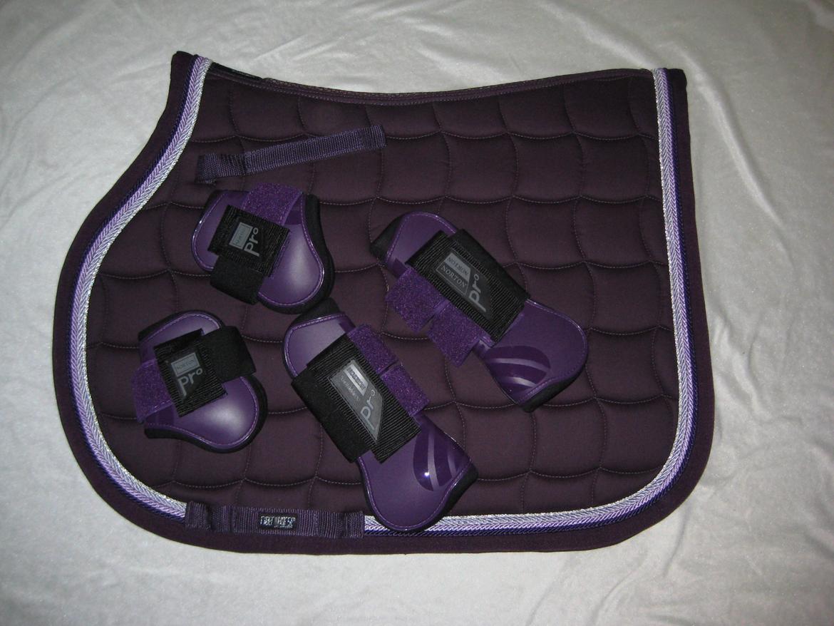 Mit Udstyr - Rider By Horse Air 1 Platinum spring underlag i plum. med Norton Pro springgamacher i Lilla.  billede 11