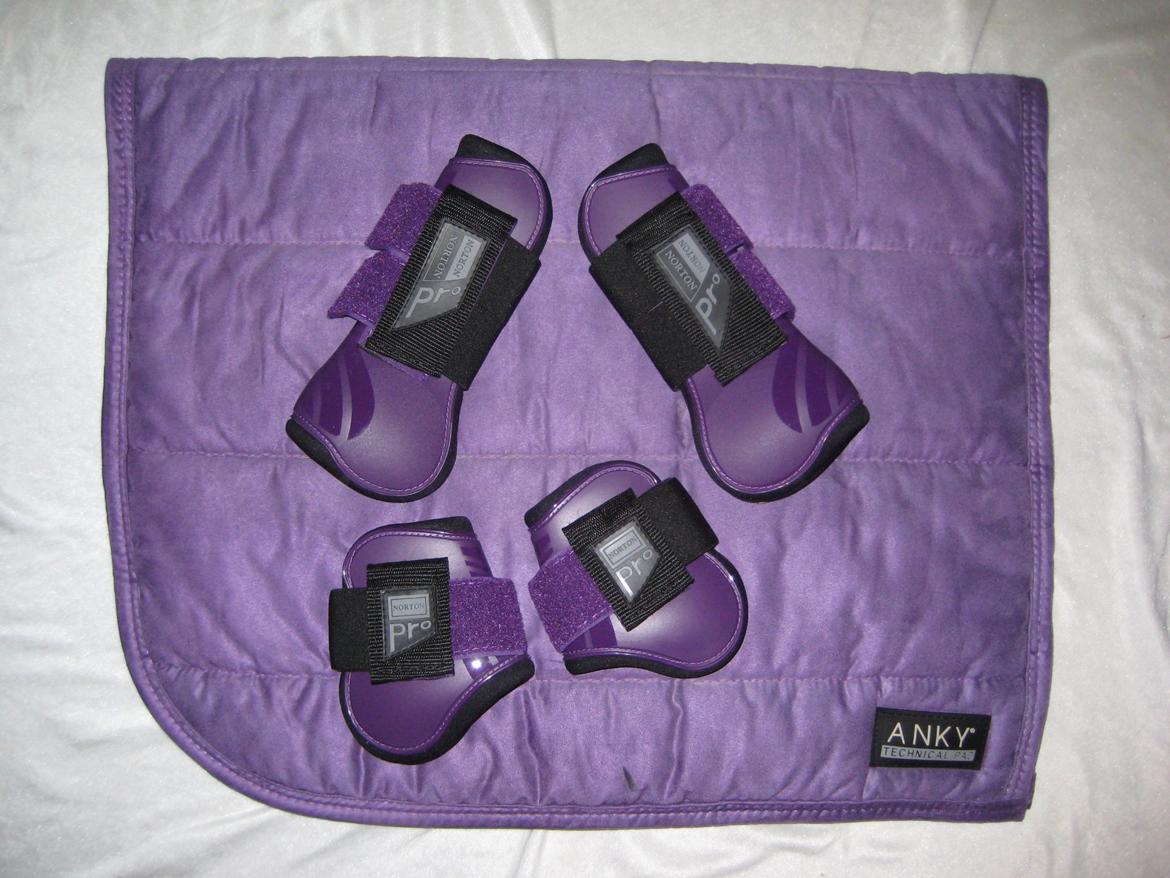 Mit Udstyr - Anky dressur underlag i lilla med Norton Pro springgamacher.  billede 12