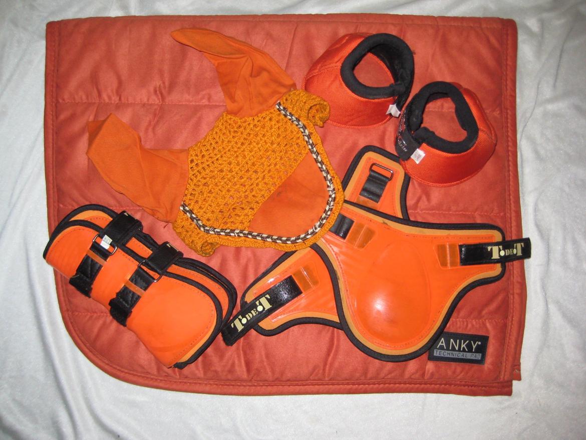 Mit Udstyr - Anky dressur underlag i orange. TdeT Neopren springgamacher. TdeT hut i orange. Pc klokker i orange.  billede 16