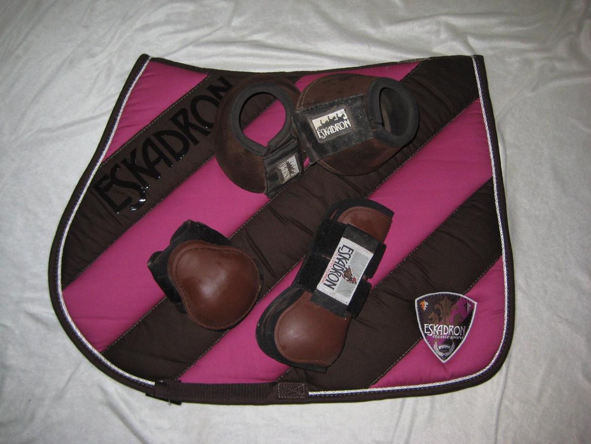 Mit Udstyr - Eskadron Polo Pad Bicolor spring underlag i coffee og berry fra eskadron kollektion Vinter 2011. Eskadron springgamacher i brun. Eskadron klokker i brun.  billede 23