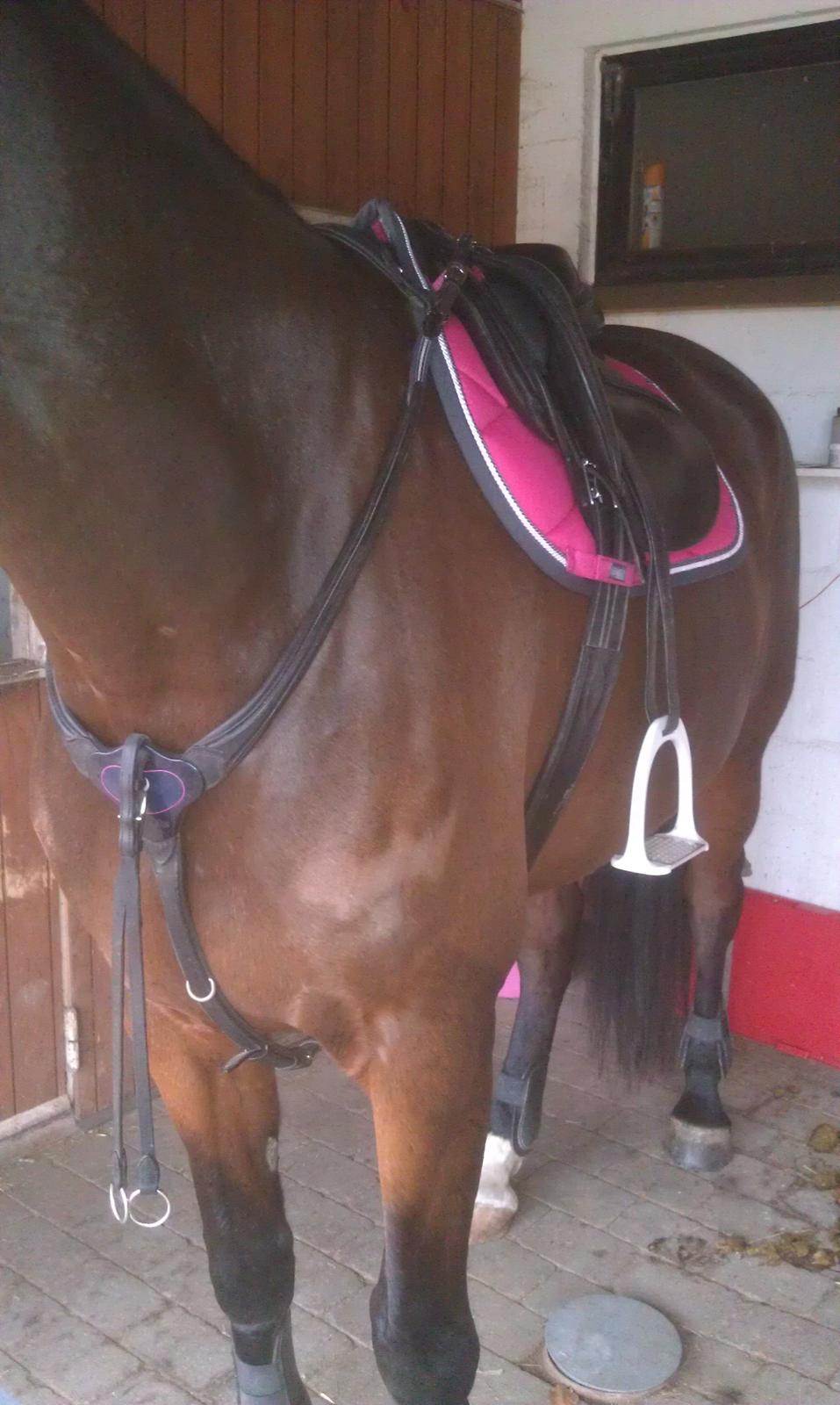 Mit Udstyr billede 40