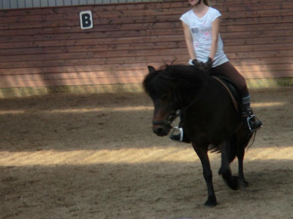 Ridelejr med Flicka på Stald Tougaard 2012:-) - Flicka og jeg i ridehallen<3 billede 1
