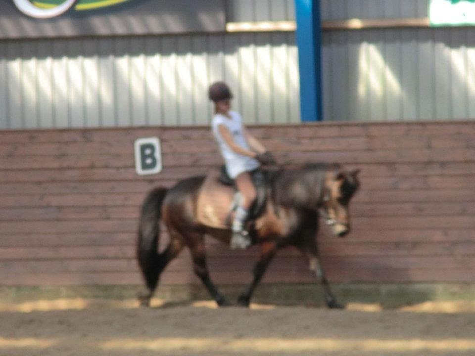 Ridelejr med Flicka på Stald Tougaard 2012:-) - Træls billedet er sløret, hun går så fiint der<3 billede 4