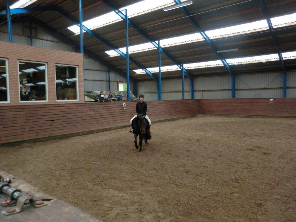 Ridelejr med Flicka på Stald Tougaard 2012:-) - Til stævnet :) billede 6