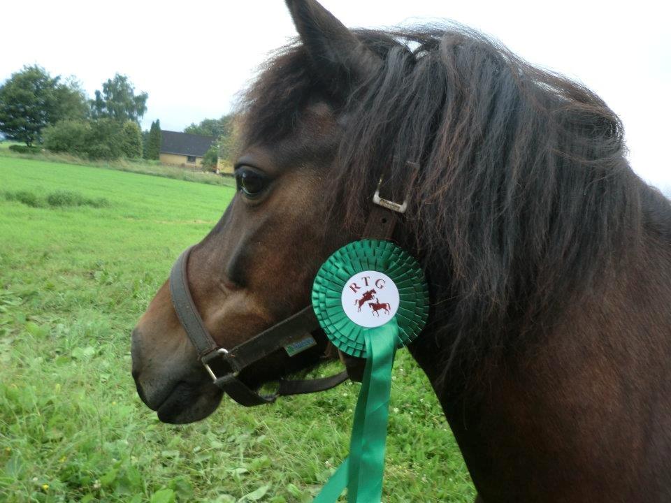 Ridelejr med Flicka på Stald Tougaard 2012:-) - Det blev til en 4. plads ud af 16 deltagere, og det var vores første stævne sammen, så det er jeg godt tilfreds med :D billede 8