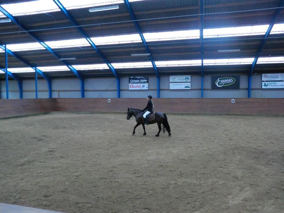 Ridelejr med Flicka på Stald Tougaard 2012:-) - Stævne! billede 10