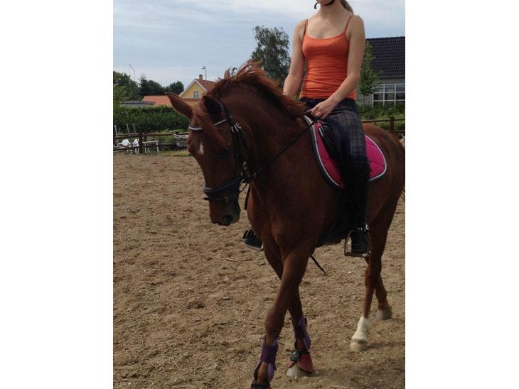 {{currentPhoto.altText}} billede {{currentPhoto.number}}