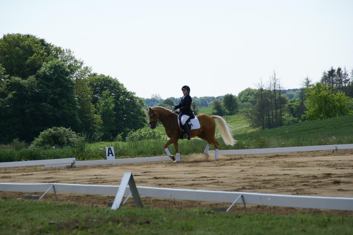Højfyns Rideklub  Pinsen 2012 billede 5