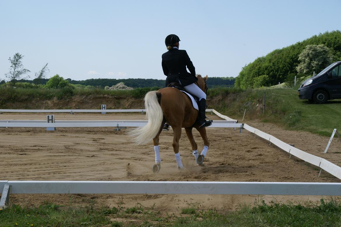 Højfyns Rideklub  Pinsen 2012 billede 8