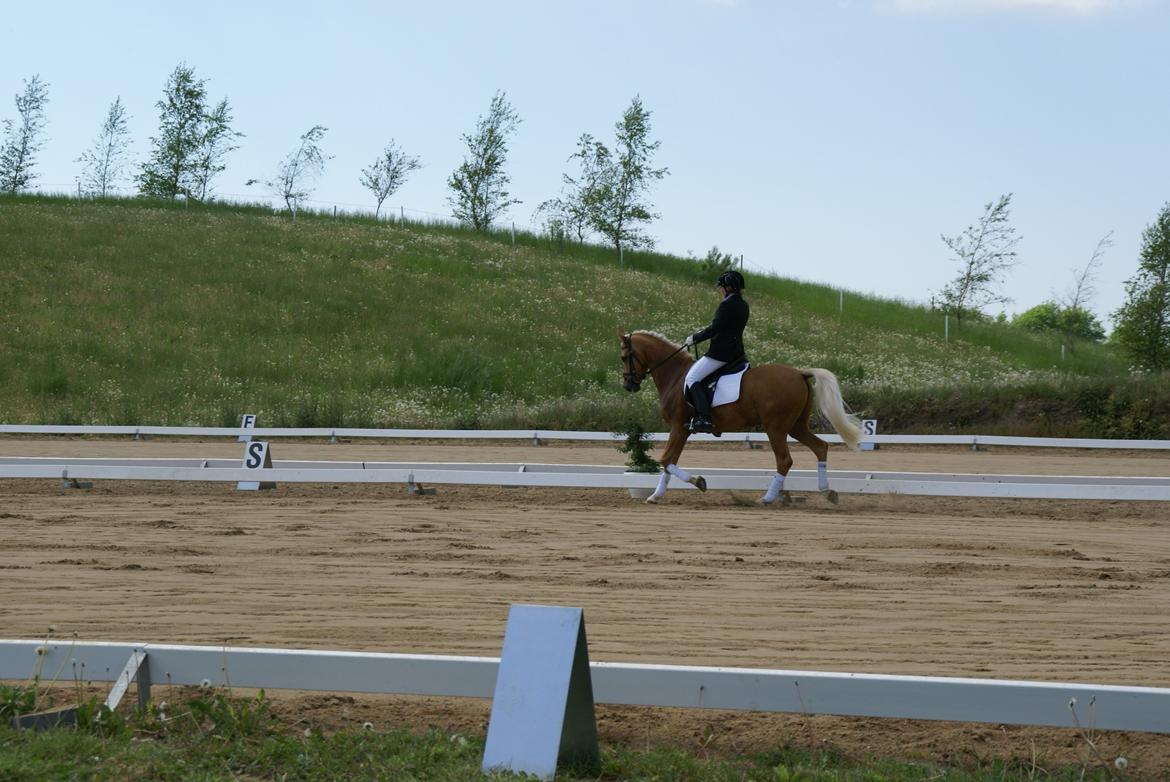 Højfyns Rideklub  Pinsen 2012 billede 10