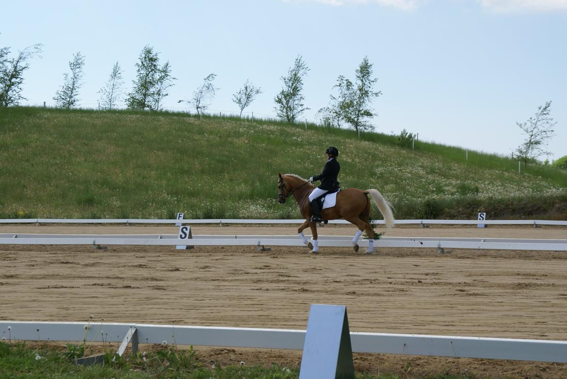 Højfyns Rideklub  Pinsen 2012 billede 11