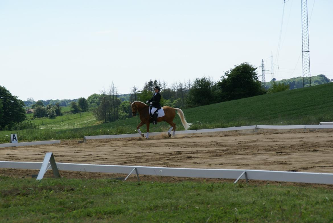 Højfyns Rideklub  Pinsen 2012 billede 12