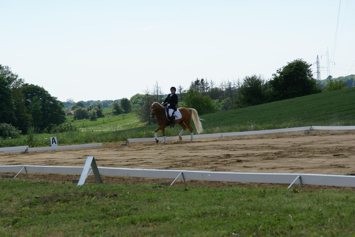 Højfyns Rideklub  Pinsen 2012 billede 13