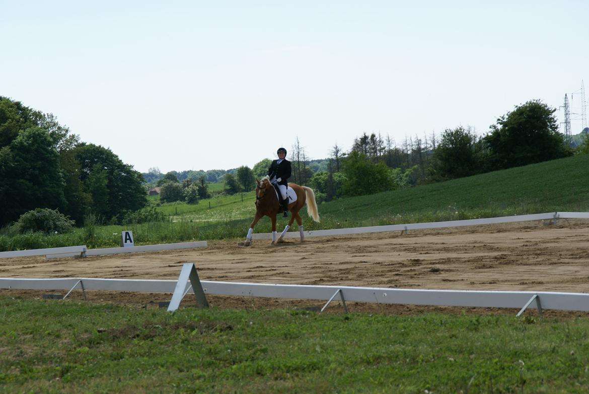 Højfyns Rideklub  Pinsen 2012 billede 14