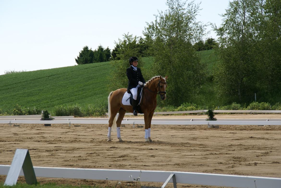 Højfyns Rideklub  Pinsen 2012 billede 15