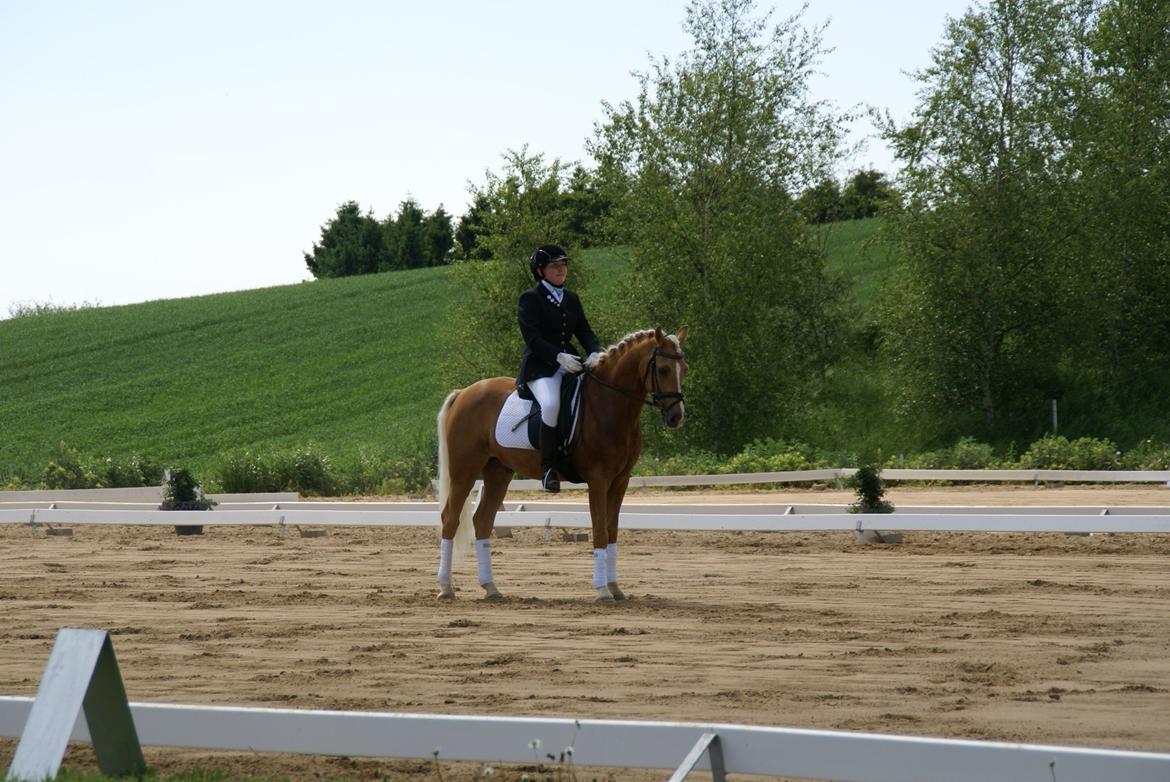 Højfyns Rideklub  Pinsen 2012 billede 16